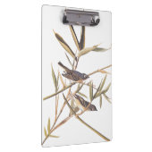 Eenzame Vireo Flycatcher van Audubon op riet Klembord (Rechts)