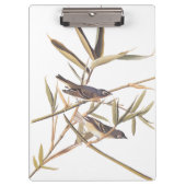 Eenzame Vireo Flycatcher van Audubon op riet Klembord (Voorkant)