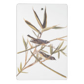 Eenzame Vireo Flycatcher van Audubon op riet Mini Klembord (Achterkant)