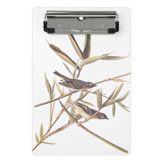 Eenzame Vireo Flycatcher van Audubon op riet Mini Klembord (Voorkant)