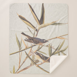 Eenzame Vireo Flycatcher van Audubon op riet Sherpa Deken
