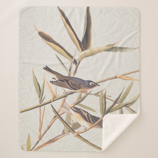 Eenzame Vireo Flycatcher van Audubon op riet Sherpa Deken (Voorkant)