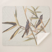 Eenzame Vireo Flycatcher van Audubon op riet Sherpa Deken (Voorkant (horizontaal))