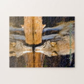 Eenzame Wolf Weerspiegeling in Vijver Legpuzzel (Horizontaal)