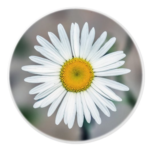 Eenzijdige ventilatorkeramische knop (Voorkant)