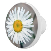 Eenzijdige ventilatorkeramische knop (Rechts)