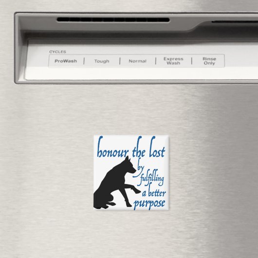 eer de verloren magneet (Insitu (Vaatwasser))