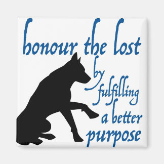 eer de verloren magneet