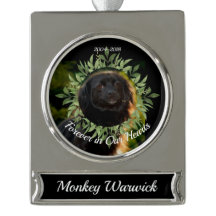 Eer ons huisdier Memorial Ornament