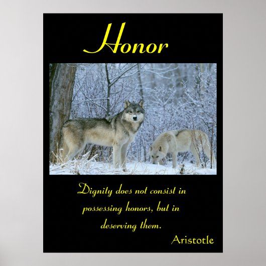 Eer resoneert in de majestueuze vlakte van de wild poster (Voorkant)