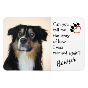 Eer uw reddingshond magneet