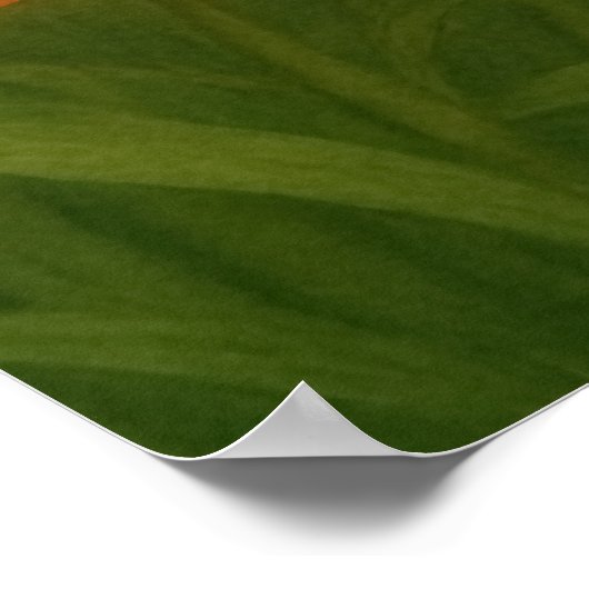 Eerbetoon aan Karen Ann Baker-Taylor Poster (Hoek)