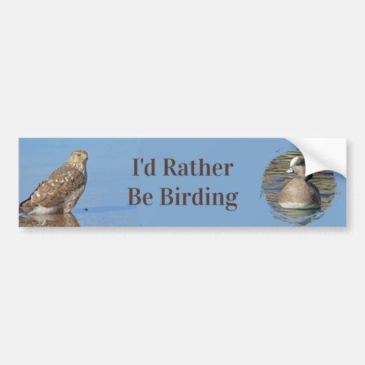 Eerder zijn ze jobby Wild Raptor Bird Hawk Bumpersticker (Voorkant)