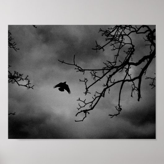 Eerie Bird in Flight Poster (Voorkant)