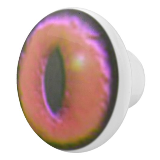 Eerie Cat Eyeball Keramische Knop (Rechts)