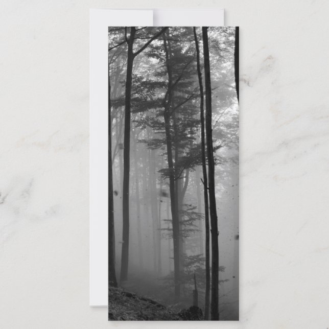 EERIE FOREST TREVES LEAVES B&W (Voorkant)