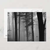 EERIE FOREST TREVES LEAVES B&W BRIEFKAART (Voorkant / Achterkant)