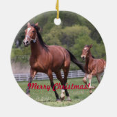 Eerlijk gezegd ben ik goed geweest! keramisch ornament (Achterkant)