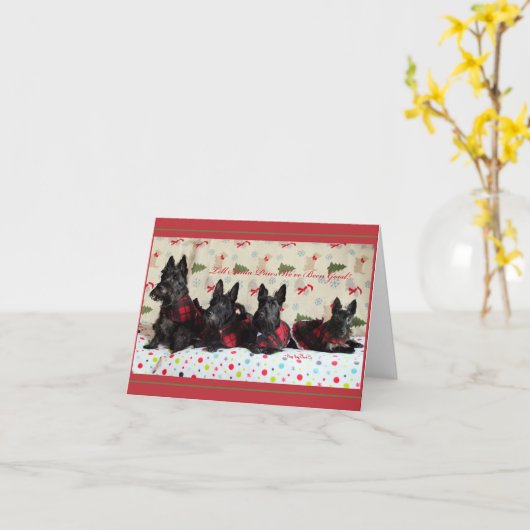 Eerlijk gezegd waren we goed kaart (Gele Bloem)