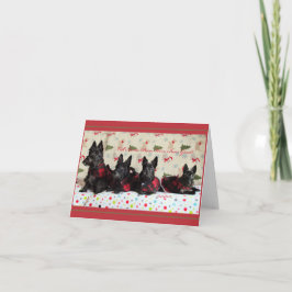 Eerlijk gezegd waren we goed kaart