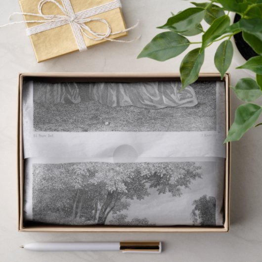 Eerlijke dames tissuepapier (Geschenk)