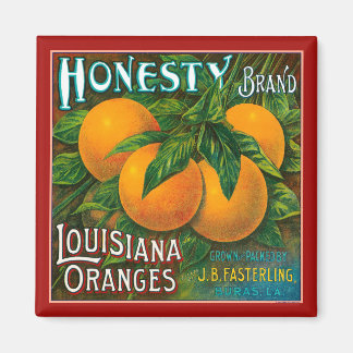Eerlijkheid Louisiana Sinaasappels Magneet