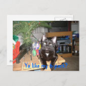 Eerste 6-verpakking briefkaart (Voorkant / Achterkant)