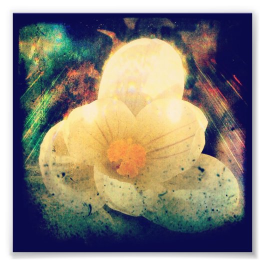 Eerste aanjager van de lente foto afdruk (Voorkant)