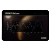 Eerste Afbeeldingen van James Webb - WASP-96 b Magneet (Horizontaal)