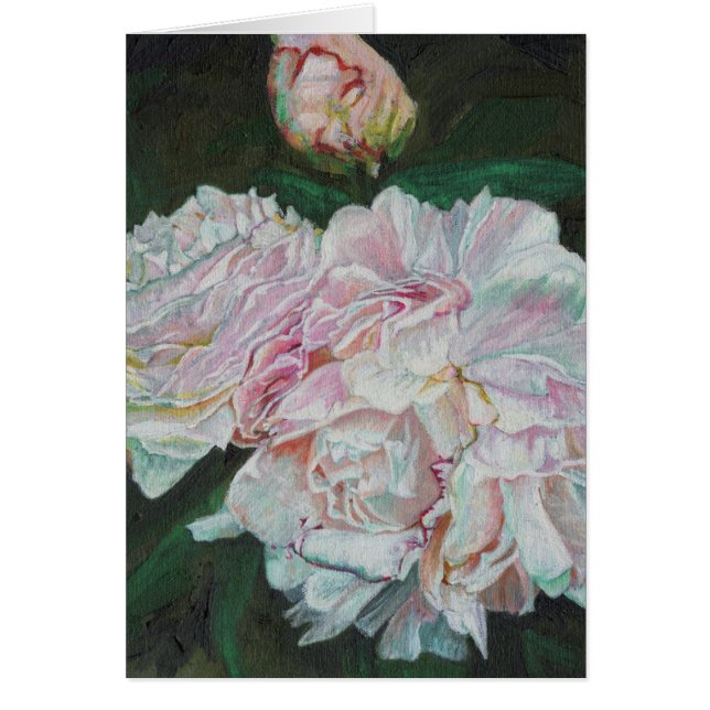 Eerste bloei 2012 (Voorkant)