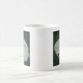 Eerste bloei 2012 koffiemok (Center)