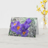 Eerste Bloei van de Lente Kaart (Gele Bloem)