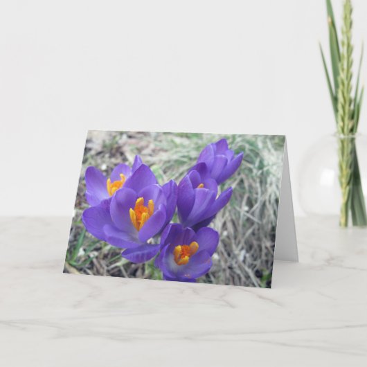 Eerste Bloei van de Lente Kaart (Voorkant)