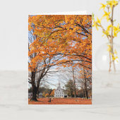 Eerste congregationele Hannover Kaart (Gele Bloem)