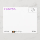 Eerste Crocus. -briefkaart Briefkaart (Achterkant)