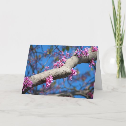 Eerste Dag van de Lente Kaart (Voorkant)