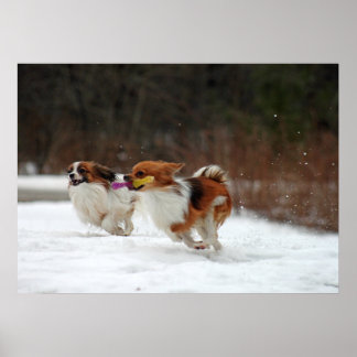 Eerste dag van de winter 2012 poster