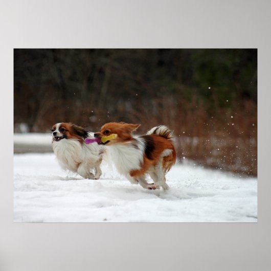 Eerste dag van de winter 2012 poster (Voorkant)