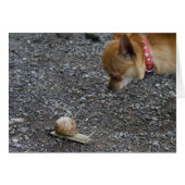 Eerste datum (Voorkant Horizontaal)