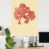 Eerste derde van vier geperste zeewier poster (Thuiskantoor)