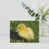 Eerste foto van het seizoen briefkaart (Staand voorkant)