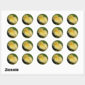 Eerste foto van het seizoen ronde sticker (Vel)
