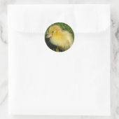 Eerste foto van het seizoen ronde sticker (Tas)
