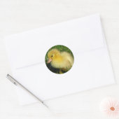 Eerste foto van het seizoen ronde sticker (Envelop)