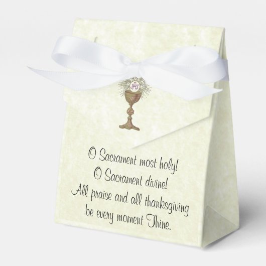 Eerste Heilige Communie  Engel Religieus Bedankdoosjes (Voorkant Zijde)