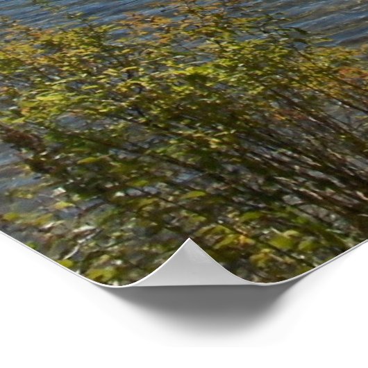 Eerste herfst 2007 in de Adirondacks 4 Poster (Hoek)