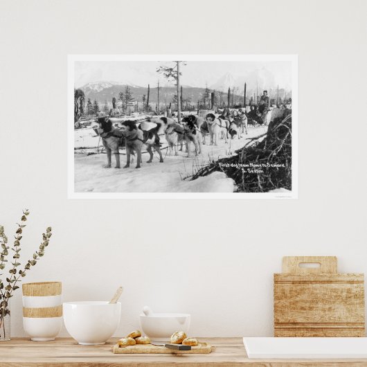 Eerste hond Alaska 1910 Poster (Keuken)