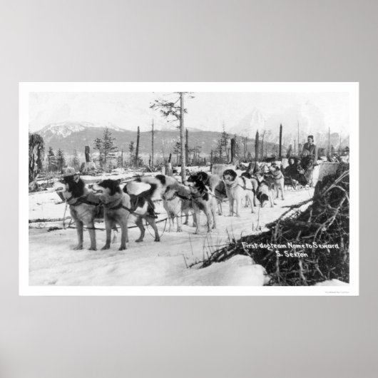 Eerste hond Alaska 1910 Poster (Voorkant)