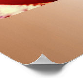 EERSTE INAUGURATIEVERKLARING VAN OBAMAS POSTER (Hoek)