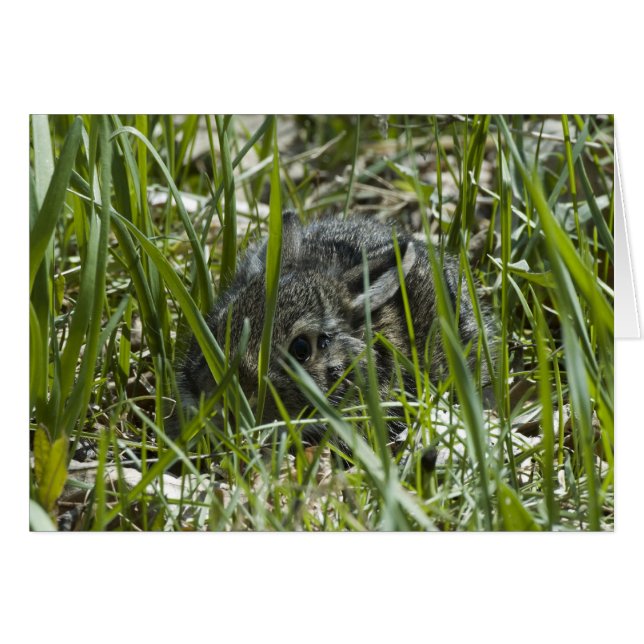 EERSTE KEER UIT (Voorkant Horizontaal)